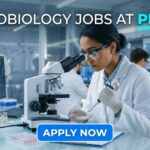 Microbiology Jobs at Pfizer | Candidates Apply Now