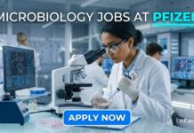 Microbiology Jobs at Pfizer | Candidates Apply Now