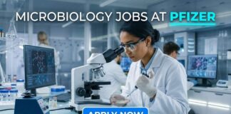 Microbiology Jobs at Pfizer | Candidates Apply Now