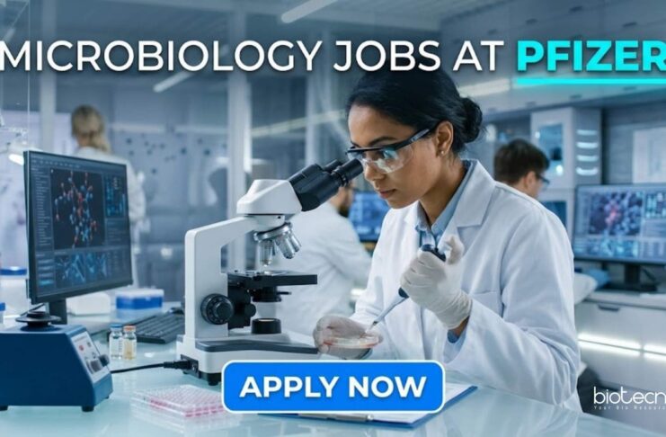 Microbiology Jobs at Pfizer | Candidates Apply Now