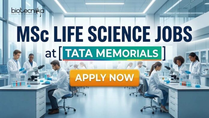 MSc Life Science Jobs at TATA Memorials | Candidates Apply Now MSc Life Science Jobs at TATA Memorials | Candidates Apply Now