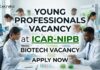 Young Professionals Vacancy at ICAR-NIPB | Biotech Vacancy