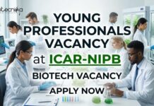 Young Professionals Vacancy at ICAR-NIPB | Biotech Vacancy
