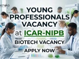 Young Professionals Vacancy at ICAR-NIPB | Biotech Vacancy