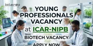 Young Professionals Vacancy at ICAR-NIPB | Biotech Vacancy