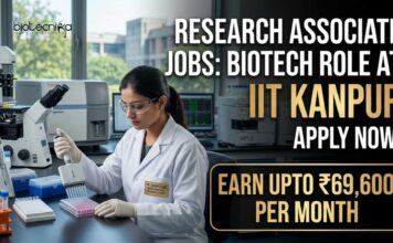 Research Associate Jobs at IIT Kanpur | PhD Biotech Role | Earn Upto ₹69,600 per month Research Associate Jobs at IIT Kanpur | Biotech Role | Apply Now