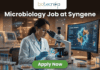 Urgent Hiring! Microbiology Job at Syngene | BSc & MSc Candidates Apply Today! Microbiology Job at Syngene | BSc & MSc Candidates Apply Today! A realistic and professional promotional image for a "Microbiology Job at Syngene." The graphic features a female scientist in a white lab coat and safety goggles, focused on examining a sample under a microscope in a modern, high-tech laboratory. To her right, a large curved monitor displays a colorful 3D molecular model titled "MICROBIAL PATHWAYS." The "biotecnika" logo is positioned at the top center against a dark background. Below it, the headline "Microbiology Job at Syngene" is written in large, bold white font. At the bottom center, there is a prominent green "Apply Now" button. The foreground includes laboratory glassware such as test tubes with colorful liquids and petri dishes, creating an authentic research atmosphere.