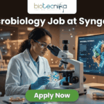 Microbiology Job at Syngene | BSc & MSc Candidates Apply Today! A realistic and professional promotional image for a "Microbiology Job at Syngene." The graphic features a female scientist in a white lab coat and safety goggles, focused on examining a sample under a microscope in a modern, high-tech laboratory. To her right, a large curved monitor displays a colorful 3D molecular model titled "MICROBIAL PATHWAYS." The "biotecnika" logo is positioned at the top center against a dark background. Below it, the headline "Microbiology Job at Syngene" is written in large, bold white font. At the bottom center, there is a prominent green "Apply Now" button. The foreground includes laboratory glassware such as test tubes with colorful liquids and petri dishes, creating an authentic research atmosphere.