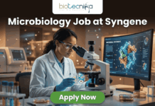 Urgent Hiring! Microbiology Job at Syngene | BSc & MSc Candidates Apply Today! Microbiology Job at Syngene | BSc & MSc Candidates Apply Today! A realistic and professional promotional image for a "Microbiology Job at Syngene." The graphic features a female scientist in a white lab coat and safety goggles, focused on examining a sample under a microscope in a modern, high-tech laboratory. To her right, a large curved monitor displays a colorful 3D molecular model titled "MICROBIAL PATHWAYS." The "biotecnika" logo is positioned at the top center against a dark background. Below it, the headline "Microbiology Job at Syngene" is written in large, bold white font. At the bottom center, there is a prominent green "Apply Now" button. The foreground includes laboratory glassware such as test tubes with colorful liquids and petri dishes, creating an authentic research atmosphere.