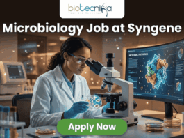 Microbiology Job at Syngene | BSc & MSc Candidates Apply Today! A realistic and professional promotional image for a "Microbiology Job at Syngene." The graphic features a female scientist in a white lab coat and safety goggles, focused on examining a sample under a microscope in a modern, high-tech laboratory. To her right, a large curved monitor displays a colorful 3D molecular model titled "MICROBIAL PATHWAYS." The "biotecnika" logo is positioned at the top center against a dark background. Below it, the headline "Microbiology Job at Syngene" is written in large, bold white font. At the bottom center, there is a prominent green "Apply Now" button. The foreground includes laboratory glassware such as test tubes with colorful liquids and petri dishes, creating an authentic research atmosphere.