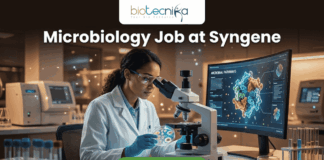 Urgent Hiring! Microbiology Job at Syngene | BSc & MSc Candidates Apply Today! Microbiology Job at Syngene | BSc & MSc Candidates Apply Today! A realistic and professional promotional image for a "Microbiology Job at Syngene." The graphic features a female scientist in a white lab coat and safety goggles, focused on examining a sample under a microscope in a modern, high-tech laboratory. To her right, a large curved monitor displays a colorful 3D molecular model titled "MICROBIAL PATHWAYS." The "biotecnika" logo is positioned at the top center against a dark background. Below it, the headline "Microbiology Job at Syngene" is written in large, bold white font. At the bottom center, there is a prominent green "Apply Now" button. The foreground includes laboratory glassware such as test tubes with colorful liquids and petri dishes, creating an authentic research atmosphere.