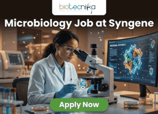 Urgent Hiring! Microbiology Job at Syngene | BSc & MSc Candidates Apply Today! Microbiology Job at Syngene | BSc & MSc Candidates Apply Today! A realistic and professional promotional image for a "Microbiology Job at Syngene." The graphic features a female scientist in a white lab coat and safety goggles, focused on examining a sample under a microscope in a modern, high-tech laboratory. To her right, a large curved monitor displays a colorful 3D molecular model titled "MICROBIAL PATHWAYS." The "biotecnika" logo is positioned at the top center against a dark background. Below it, the headline "Microbiology Job at Syngene" is written in large, bold white font. At the bottom center, there is a prominent green "Apply Now" button. The foreground includes laboratory glassware such as test tubes with colorful liquids and petri dishes, creating an authentic research atmosphere.