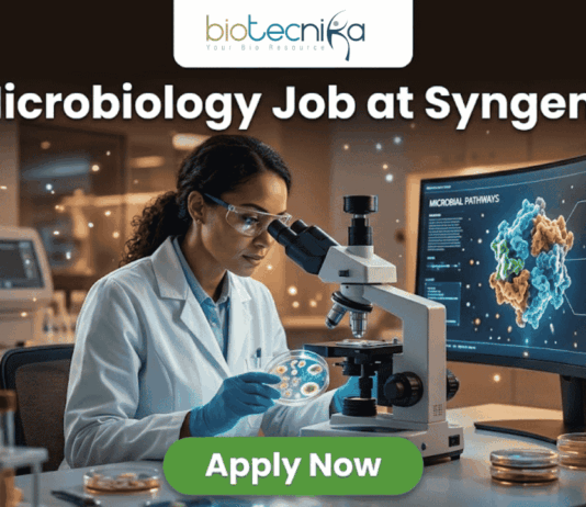 Microbiology Job at Syngene | BSc & MSc Candidates Apply Today! A realistic and professional promotional image for a "Microbiology Job at Syngene." The graphic features a female scientist in a white lab coat and safety goggles, focused on examining a sample under a microscope in a modern, high-tech laboratory. To her right, a large curved monitor displays a colorful 3D molecular model titled "MICROBIAL PATHWAYS." The "biotecnika" logo is positioned at the top center against a dark background. Below it, the headline "Microbiology Job at Syngene" is written in large, bold white font. At the bottom center, there is a prominent green "Apply Now" button. The foreground includes laboratory glassware such as test tubes with colorful liquids and petri dishes, creating an authentic research atmosphere.