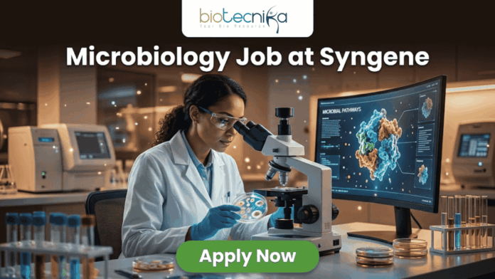 Microbiology Job at Syngene | BSc & MSc Candidates Apply Today! Microbiology Job at Syngene | BSc & MSc Candidates Apply Today! A realistic and professional promotional image for a "Microbiology Job at Syngene." The graphic features a female scientist in a white lab coat and safety goggles, focused on examining a sample under a microscope in a modern, high-tech laboratory. To her right, a large curved monitor displays a colorful 3D molecular model titled "MICROBIAL PATHWAYS." The "biotecnika" logo is positioned at the top center against a dark background. Below it, the headline "Microbiology Job at Syngene" is written in large, bold white font. At the bottom center, there is a prominent green "Apply Now" button. The foreground includes laboratory glassware such as test tubes with colorful liquids and petri dishes, creating an authentic research atmosphere.