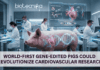 World-First Gene-Edited Pigs Could Revolutionize Cardiovascular Research Scientists develop first LXRα gene-edited pigs, advancing cardiovascular research and enabling better study of heart disease and therapies.