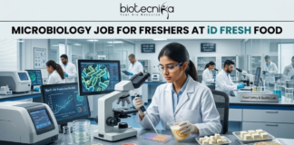 Freshers Hiring! Quality Executive Job at iD Fresh Food | Microbiology & Food Tech Eligible iD Fresh Food Hiring Quality Executive for Microbiology Job Freshers Eligible. A professional and high-quality featured image advertisement for a "Microbiology Job for Freshers at iD Fresh Food." The scene depicts a female scientist in a white lab coat and safety goggles working in a modern, high-tech Food Safety & Quality Lab. She is carefully testing food samples, such as idli/dosa batter and parottas, using a pipette and lab equipment. A computer monitor in the background shows detailed microbial cell structures. The Biotecnika logo is at the top center, the job title is displayed in bold black text, and a prominent blue "APPLY NOW" button is located at the bottom.