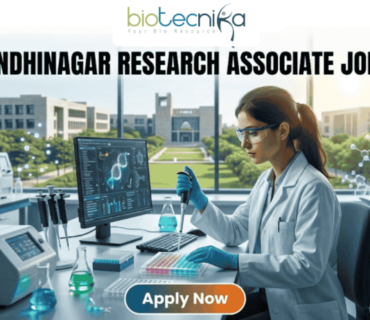 A professional promotional image for a Research Associate job at IIT Gandhinagar in 2026. At the top, the Biotecnika Global logo is centered. Large, bold text reads "IIT GANDHINAGAR RESEARCH ASSOCIATE JOB 2026". In the center, a female scientist wearing a white lab coat and safety glasses is focused on her work, using a micropipette to dispense liquid into a multi-well plate. She sits in a modern, well-equipped laboratory with advanced research equipment and computer monitors displaying molecular data. Large windows in the background reveal a bright, green university campus. At the bottom, a prominent "Apply Now" button with an orange-to-green gradient is displayed.