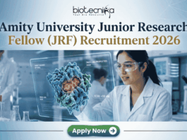 Amity University Junior Research Fellow (JRF) Recruitment 2026 Apply Now. A featured image for a job posting titled "Amity University Junior Research Fellow (JRF) Recruitment 2026." At the top center is the Biotecnika logo. Below it, the main heading reads "Amity University Junior Research Fellow (JRF) Recruitment 2026" in a bold, professional font. The background features a high-tech, modern laboratory where a female researcher in a white lab coat and safety goggles is intensely focused on a glowing, 3D holographic molecular model representing drug research. The lab is clean and corporate, with various scientific equipment visible in soft focus. At the bottom center, there is a prominent green "Apply Now" button with a white arrow icon. The overall color palette is a professional mix of blue, white, and teal, designed to be eye-catching and authoritative.