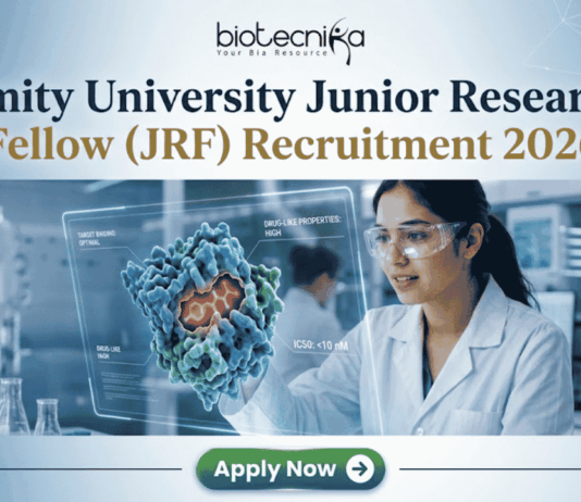 Amity University Junior Research Fellow (JRF) Recruitment 2026 Apply Now. A featured image for a job posting titled "Amity University Junior Research Fellow (JRF) Recruitment 2026." At the top center is the Biotecnika logo. Below it, the main heading reads "Amity University Junior Research Fellow (JRF) Recruitment 2026" in a bold, professional font. The background features a high-tech, modern laboratory where a female researcher in a white lab coat and safety goggles is intensely focused on a glowing, 3D holographic molecular model representing drug research. The lab is clean and corporate, with various scientific equipment visible in soft focus. At the bottom center, there is a prominent green "Apply Now" button with a white arrow icon. The overall color palette is a professional mix of blue, white, and teal, designed to be eye-catching and authoritative.