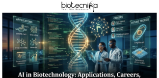 AI in Biotechnology Applications, Careers, & Future Trends You Must Know. A high-tech, futuristic featured image for an article titled "AI in Biotechnology: Applications, Careers, & Future Trends You Must Know." The image features two scientists in a glowing blue laboratory interacting with a large, holographic double-helix DNA strand integrated with neural network nodes. Surrounding them are floating digital displays showcasing Biotech Applications (like CRISPR and Drug Discovery), Career Paths (such as AI-driven Genomicist), and Future Trends (like Lab-on-a-chip). The Biotecnika logo is positioned at the top center, and the article title is displayed in bold white text at the bottom.