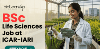 BSc Life Sciences Job Opportunity at ICAR-IARI | Work on DBT Funded Project BSc Life Sciences Job Opportunity at ICAR-IARI Work on DBT Funded Project. A promotional image banner from biotecnika for a "BSc Life Sciences Job at ICAR-IARI". It features a photograph of a smiling female researcher in a white lab coat, holding a data tablet and adjusting a scientific sensor on a growing plant in a modern, sunlit greenhouse. A centrifuge and test tubes on a cart are to her side. The biotecnika logo is at the top left, and a green "APPLY NOW" button with an arrow is at the bottom center.