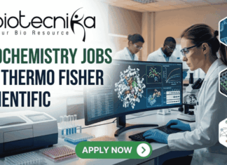 Biochemistry Jobs at Thermo Fisher Scientific | Apply Before It’s Gone! Biochemistry Jobs at Thermo Fisher Scientific Apply Now!
