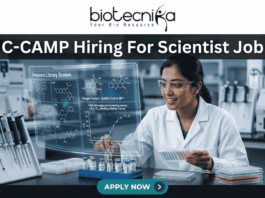 C-CAMP Hiring For Scientist Job Fresh PhD Candidates Apply Now. A job advertisement banner from Biotecnika, with the main title at the top, "C-CAMP Hiring For Scientist Job." The Biotecnika logo with the text "Your Bio Resource" is in the top center. The visual focuses on a female scientist in a modern drug discovery laboratory, wearing safety glasses and a lab coat. She is looking at a large, holographic-style transparent digital display that shows complex scientific information. This includes detailed 2D molecular structures under the heading "Compound Library Screen," a high-throughput screening assay graph, and text identifying the "Target Protein: SARS-CoV-2 M^pro." The lab environment around her is fully equipped with advanced automated systems, analytical machines, multi-well plates, vials, and a prominent rack of sophisticated pipettes. At the bottom center, there is a large, prominent blue button with the text "APPLY NOW >."