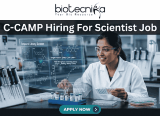 C-CAMP Hiring For Scientist Job | Fresh PhD Candidates Apply Now C-CAMP Hiring For Scientist Job Fresh PhD Candidates Apply Now. A job advertisement banner from Biotecnika, with the main title at the top, "C-CAMP Hiring For Scientist Job." The Biotecnika logo with the text "Your Bio Resource" is in the top center. The visual focuses on a female scientist in a modern drug discovery laboratory, wearing safety glasses and a lab coat. She is looking at a large, holographic-style transparent digital display that shows complex scientific information. This includes detailed 2D molecular structures under the heading "Compound Library Screen," a high-throughput screening assay graph, and text identifying the "Target Protein: SARS-CoV-2 M^pro." The lab environment around her is fully equipped with advanced automated systems, analytical machines, multi-well plates, vials, and a prominent rack of sophisticated pipettes. At the bottom center, there is a large, prominent blue button with the text "APPLY NOW >."