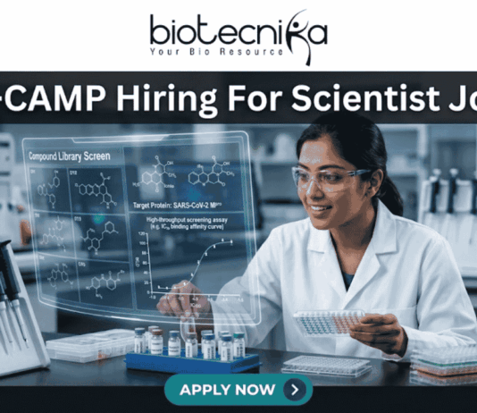 C-CAMP Hiring For Scientist Job | Fresh PhD Candidates Apply Now C-CAMP Hiring For Scientist Job Fresh PhD Candidates Apply Now. A job advertisement banner from Biotecnika, with the main title at the top, "C-CAMP Hiring For Scientist Job." The Biotecnika logo with the text "Your Bio Resource" is in the top center. The visual focuses on a female scientist in a modern drug discovery laboratory, wearing safety glasses and a lab coat. She is looking at a large, holographic-style transparent digital display that shows complex scientific information. This includes detailed 2D molecular structures under the heading "Compound Library Screen," a high-throughput screening assay graph, and text identifying the "Target Protein: SARS-CoV-2 M^pro." The lab environment around her is fully equipped with advanced automated systems, analytical machines, multi-well plates, vials, and a prominent rack of sophisticated pipettes. At the bottom center, there is a large, prominent blue button with the text "APPLY NOW >."
