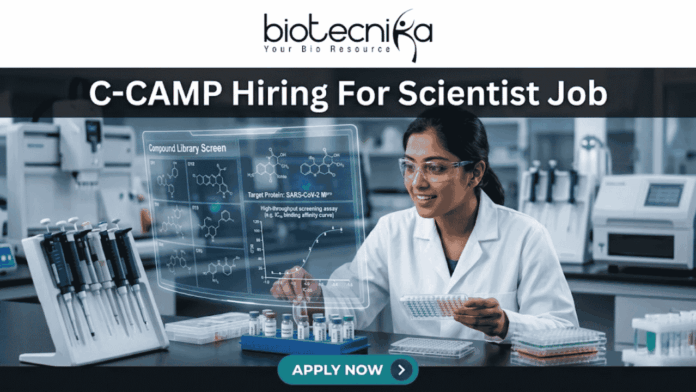 C-CAMP Hiring For Scientist Job Fresh PhD Candidates Apply Now. A job advertisement banner from Biotecnika, with the main title at the top, "C-CAMP Hiring For Scientist Job." The Biotecnika logo with the text "Your Bio Resource" is in the top center. The visual focuses on a female scientist in a modern drug discovery laboratory, wearing safety glasses and a lab coat. She is looking at a large, holographic-style transparent digital display that shows complex scientific information. This includes detailed 2D molecular structures under the heading "Compound Library Screen," a high-throughput screening assay graph, and text identifying the "Target Protein: SARS-CoV-2 M^pro." The lab environment around her is fully equipped with advanced automated systems, analytical machines, multi-well plates, vials, and a prominent rack of sophisticated pipettes. At the bottom center, there is a large, prominent blue button with the text "APPLY NOW >."