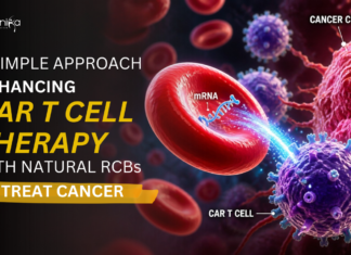 A Simple Approach Enhancing CAR T Cell Therapy with Natural RBCs to Treat Cancer Scientists Discover a Simple Method using Red Blood Cells to Improve CAR T Cell Therapy, Offering Effective Cancer Treatment Possibilities.