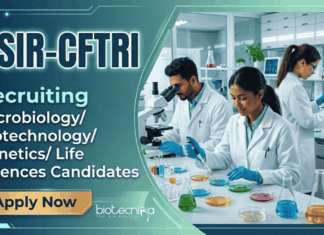 CFTRI Recruitment announced Project Associate Jobs for Life Sciences Candidates: Apply Online for Biotechnology Research Careers.