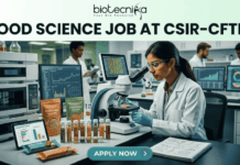 CSIR-CFTRI Recruitment 2026: Exciting Food Science Job Opening in Mysuru CSIR-CFTRI Recruitment 2026 Exciting Food Science Job Opening in Mysuru "A detailed, professional featured image banner for a job page. At the top, a white header band displays the Biotecnika logo (the black text and leaf-icon from image_15.png reading 'biotecnika Your Bio Resource') above a large, bold black headline, 'FOOD SCIENCE JOB AT CSIR-CFTRI'. Below the header is a realistic photograph of a modern, bustling, well-equipped food science research laboratory. In the foreground, a female scientist of South Asian descent in a lab coat is carefully looking through a compound microscope. Behind her and at a separate station, an older male scientist works with advanced high-performance liquid chromatography (HPLC) analytical equipment and another computer, while a younger male scientist analyzes data on a large monitor. The workbench is covered with various ingredient vials, packaged 'Fortified Grains' and 'Novel Protein Bar' prototypes, and computers displaying complex data graphs, molecular structures, and composition charts. A lab notebook with doodles is also present. At the very bottom, a solid teal footer bar features a prominent call-to-action button with white text that reads 'APPLY NOW' with a right-pointing arrow."