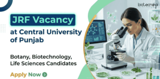 Apply for JRF Vacancy at Central University of Punjab under DBT project. Excellent CUP Recruitment opportunity for Life Sciences Career.