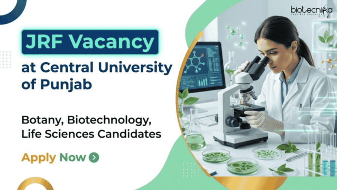 CUP Apply for JRF Vacancy at Central University of Punjab under DBT project. Excellent CUP Recruitment opportunity for Life Sciences Career.