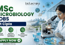 Cipla Hiring MSc Microbiology Graduates in Sikkim – Don’t Miss This Opportunity! Cipla Hiring MSc Microbiology Graduates in Sikkim – Don’t Miss This Opportunity!