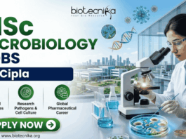 Cipla Hiring MSc Microbiology Graduates in Sikkim – Don’t Miss This Opportunity! Cipla Hiring MSc Microbiology Graduates in Sikkim – Don’t Miss This Opportunity!