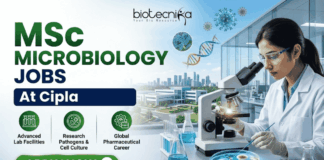 Cipla Hiring MSc Microbiology Graduates in Sikkim – Don’t Miss This Opportunity! Cipla Hiring MSc Microbiology Graduates in Sikkim – Don’t Miss This Opportunity!