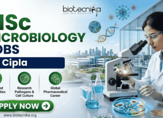 Cipla Hiring MSc Microbiology Graduates in Sikkim – Don’t Miss This Opportunity! Cipla Hiring MSc Microbiology Graduates in Sikkim – Don’t Miss This Opportunity!