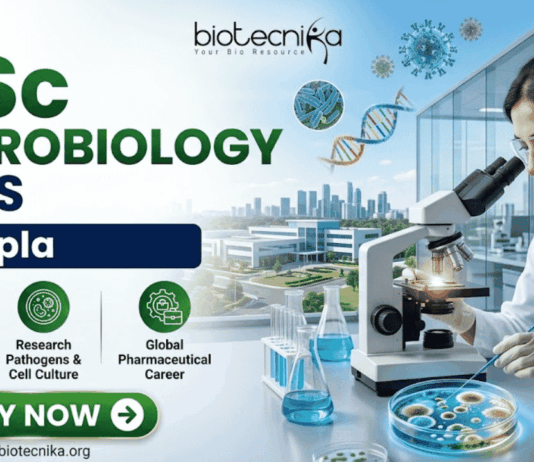 Cipla Hiring MSc Microbiology Graduates in Sikkim – Don’t Miss This Opportunity! Cipla Hiring MSc Microbiology Graduates in Sikkim – Don’t Miss This Opportunity!