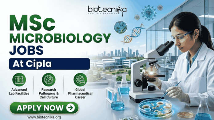 Cipla Hiring MSc Microbiology Graduates in Sikkim – Don’t Miss This Opportunity! Cipla Hiring MSc Microbiology Graduates in Sikkim – Don’t Miss This Opportunity!