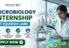 Equinox Labs Microbiology Internship 2026 – Paid Student Internship Opportunity Equinox Labs Microbiology Internship Paid Student Internship. A professional recruitment banner for a "Microbiology Internship at Equinox Labs," featuring the Biotecnika logo at the top. On the right, a female scientist in a white lab coat meticulously examines green bacterial colonies in petri dishes under a specialized magnifying lamp, with a colorful, stylized swirl of microbes floating nearby. The left side displays the bold headline and four circular icons highlighting internship benefits: Work on Key Projects, Learn State-of-the-Art Techniques, Gain Valuable Insights, and Mentorship from Experts. The scene is set in a modern, high-rise laboratory with a scenic city skyline visible through large windows. A prominent green "Apply Now" button and the contact email "apply@biotecnika.org" are positioned at the bottom.