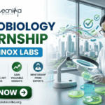 Equinox Labs Microbiology Internship Paid Student Internship. A professional recruitment banner for a "Microbiology Internship at Equinox Labs," featuring the Biotecnika logo at the top. On the right, a female scientist in a white lab coat meticulously examines green bacterial colonies in petri dishes under a specialized magnifying lamp, with a colorful, stylized swirl of microbes floating nearby. The left side displays the bold headline and four circular icons highlighting internship benefits: Work on Key Projects, Learn State-of-the-Art Techniques, Gain Valuable Insights, and Mentorship from Experts. The scene is set in a modern, high-rise laboratory with a scenic city skyline visible through large windows. A prominent green "Apply Now" button and the contact email "apply@biotecnika.org" are positioned at the bottom.