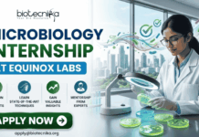 Equinox Labs Microbiology Internship 2026 – Paid Student Internship Opportunity Equinox Labs Microbiology Internship Paid Student Internship. A professional recruitment banner for a "Microbiology Internship at Equinox Labs," featuring the Biotecnika logo at the top. On the right, a female scientist in a white lab coat meticulously examines green bacterial colonies in petri dishes under a specialized magnifying lamp, with a colorful, stylized swirl of microbes floating nearby. The left side displays the bold headline and four circular icons highlighting internship benefits: Work on Key Projects, Learn State-of-the-Art Techniques, Gain Valuable Insights, and Mentorship from Experts. The scene is set in a modern, high-rise laboratory with a scenic city skyline visible through large windows. A prominent green "Apply Now" button and the contact email "apply@biotecnika.org" are positioned at the bottom.