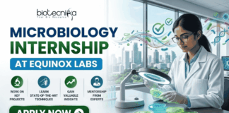 Equinox Labs Microbiology Internship 2026 – Paid Student Internship Opportunity Equinox Labs Microbiology Internship Paid Student Internship. A professional recruitment banner for a "Microbiology Internship at Equinox Labs," featuring the Biotecnika logo at the top. On the right, a female scientist in a white lab coat meticulously examines green bacterial colonies in petri dishes under a specialized magnifying lamp, with a colorful, stylized swirl of microbes floating nearby. The left side displays the bold headline and four circular icons highlighting internship benefits: Work on Key Projects, Learn State-of-the-Art Techniques, Gain Valuable Insights, and Mentorship from Experts. The scene is set in a modern, high-rise laboratory with a scenic city skyline visible through large windows. A prominent green "Apply Now" button and the contact email "apply@biotecnika.org" are positioned at the bottom.