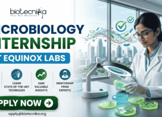 Equinox Labs Microbiology Internship 2026 – Paid Student Internship Opportunity Equinox Labs Microbiology Internship Paid Student Internship. A professional recruitment banner for a "Microbiology Internship at Equinox Labs," featuring the Biotecnika logo at the top. On the right, a female scientist in a white lab coat meticulously examines green bacterial colonies in petri dishes under a specialized magnifying lamp, with a colorful, stylized swirl of microbes floating nearby. The left side displays the bold headline and four circular icons highlighting internship benefits: Work on Key Projects, Learn State-of-the-Art Techniques, Gain Valuable Insights, and Mentorship from Experts. The scene is set in a modern, high-rise laboratory with a scenic city skyline visible through large windows. A prominent green "Apply Now" button and the contact email "apply@biotecnika.org" are positioned at the bottom.