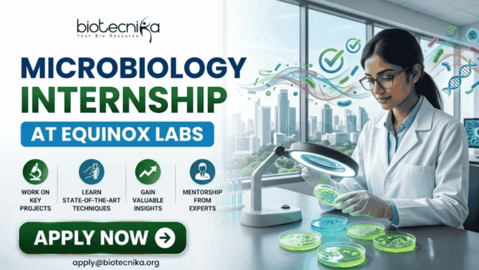 Equinox Labs Microbiology Internship Paid Student Internship Equinox Labs Microbiology Internship Paid Student Internship. A professional recruitment banner for a "Microbiology Internship at Equinox Labs," featuring the Biotecnika logo at the top. On the right, a female scientist in a white lab coat meticulously examines green bacterial colonies in petri dishes under a specialized magnifying lamp, with a colorful, stylized swirl of microbes floating nearby. The left side displays the bold headline and four circular icons highlighting internship benefits: Work on Key Projects, Learn State-of-the-Art Techniques, Gain Valuable Insights, and Mentorship from Experts. The scene is set in a modern, high-rise laboratory with a scenic city skyline visible through large windows. A prominent green "Apply Now" button and the contact email "apply@biotecnika.org" are positioned at the bottom.