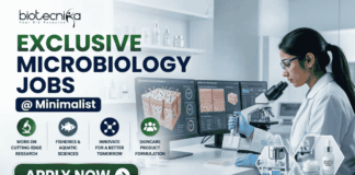 Exclusive Microbiology Jobs at Minimalist Apply For Quality Assurance Executive Role. A professional corporate recruitment banner for "EXCLUSIVE MICROBIOLOGY JOBS @ Minimalist" featuring the Biotecnika logo. The image showcases a focused female scientist in a white lab coat and blue gloves working in a high-tech laboratory. The theme is centered on skincare science, with laboratory monitors displaying "Skin Microbiome Analysis" and "Probiotic Effectiveness." Shelves in the background hold various skincare bottles and jars. Hexagonal graphics highlight scientific visualizations of skin cells and probiotic serums. Four circular icons at the bottom represent research, aquatic sciences, innovation, and skincare product formulation. A prominent green "APPLY NOW" button is positioned at the bottom left.