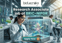 Latest Research Associate Job Opening at BRIC-NIPGR | Earn Upto ₹58,000 Salary Research Associate Job Opening at BRIC-NIPGR | ₹58,000 Salary. A detailed illustration of a female scientist in a high-tech, futuristic plant research laboratory and greenhouse environment. The scientist, wearing a lab coat and safety glasses, is carefully using a pipette on a stylized, glowing bioluminescent plant specimen inside a transparent, lit cube with an integrated DNA double-helix graphic. Large background screens display data, genetic diagrams, and charts related to plant biology and growth. Other researchers are working in the background. At the top, a logo with text reads 'biotecnika'. A central green panel features text in white and teal font that reads, 'Research Associate job at BRIC-NIPGR'. A large green button at the bottom is labeled 'Apply Now >'. The style is realistic with a sci-fi/digital art feel.
