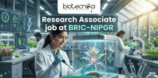 Latest Research Associate Job Opening at BRIC-NIPGR | Earn Upto ₹58,000 Salary Research Associate Job Opening at BRIC-NIPGR | ₹58,000 Salary. A detailed illustration of a female scientist in a high-tech, futuristic plant research laboratory and greenhouse environment. The scientist, wearing a lab coat and safety glasses, is carefully using a pipette on a stylized, glowing bioluminescent plant specimen inside a transparent, lit cube with an integrated DNA double-helix graphic. Large background screens display data, genetic diagrams, and charts related to plant biology and growth. Other researchers are working in the background. At the top, a logo with text reads 'biotecnika'. A central green panel features text in white and teal font that reads, 'Research Associate job at BRIC-NIPGR'. A large green button at the bottom is labeled 'Apply Now >'. The style is realistic with a sci-fi/digital art feel.